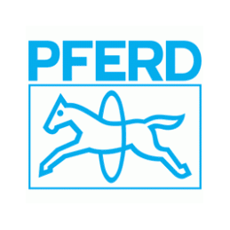 Pneumatyczna szlifierka prosta PGTS 1/1100 DV 110 000 obr./min / 75 W Pferd