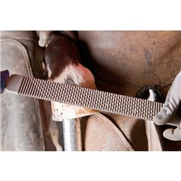 PFERD  Tarnik do kopyt końskich płaski 350 mm z uchwytem